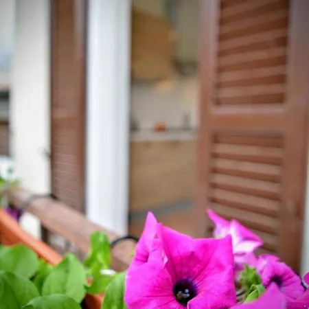 Bureglio Bed Apartment *